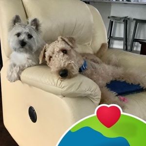 Meet your Posher, Anita